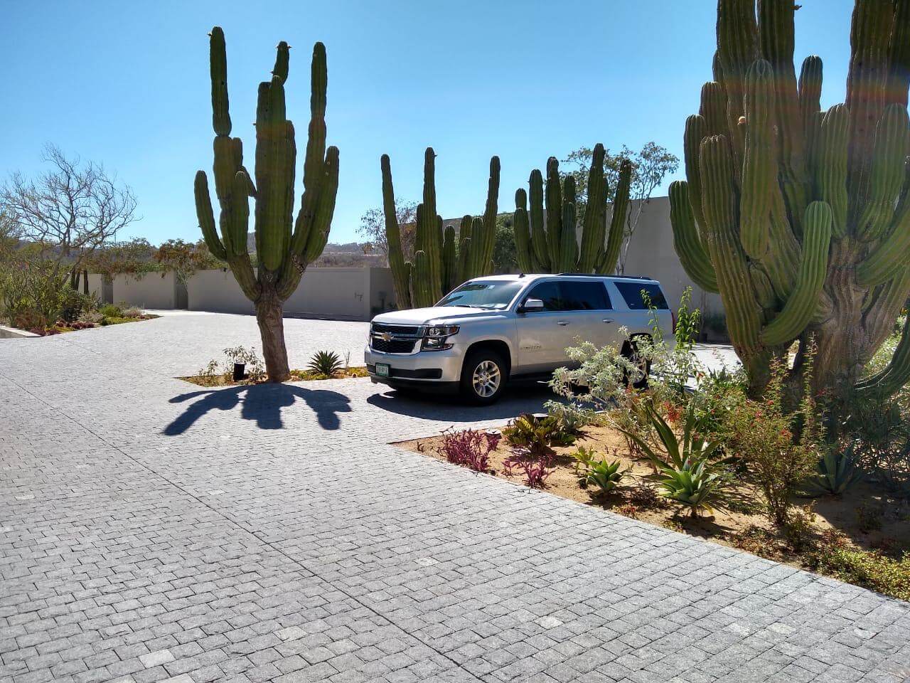 Silver Suburban among cactus