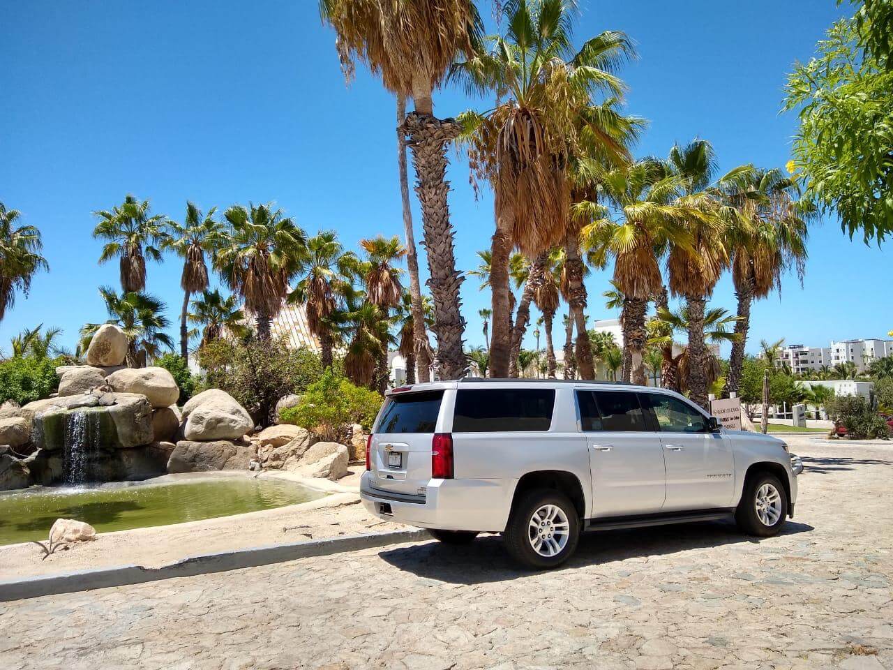 Silver Suburban parked in front of palm trees